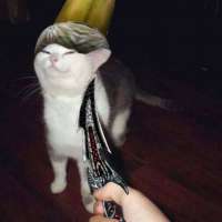 15278291101540.jpg