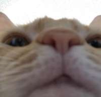 1541435341662-v.png
