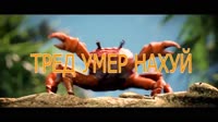 tred ymer.mp4