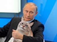 кот путин.jpg