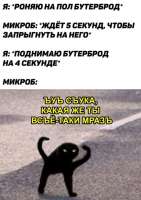 15502497080810.jpg