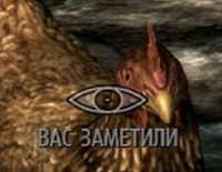 .jpg