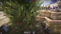 1551300006337.webm