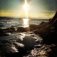 stock-photo-water-sun-sunset-seattle-puddle-shore-81c540a2-[...].jpg