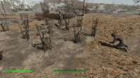 Fallout420190308214044662.jpg