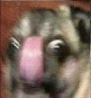 1553616332179.png