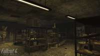 Fallout-F4NV-Игры-5091374.jpeg