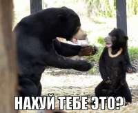 1340400100027.png
