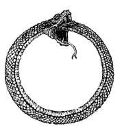 969feba0096d93b86481361de0f8ca27--ouroboros-tattoo-tattoo-s[...].jpg