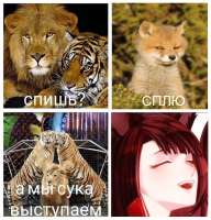 Без имени-1.jpg