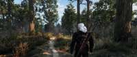 witcher320190609220514264.png