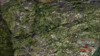 1021-1531970746-444853549[1].jpeg