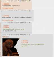 123.jpg