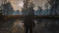 The Witcher 3 15.06.2019 130125.png