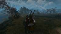 The Witcher 3 15.06.2019 133233.png