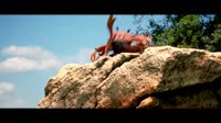15674370161550.webm
