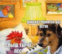 15551069645580.jpg