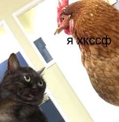 15446320812730.png
