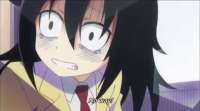 15659180867890.gif