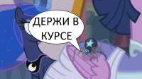 держи в курсе.jpg