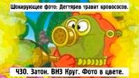 150494255919942080.jpg