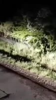 aYYBR0v460svvp9.webm