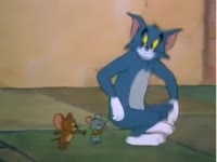 15668996251690.webm