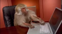 1543624523.webm