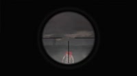 .webm