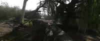 test.webm