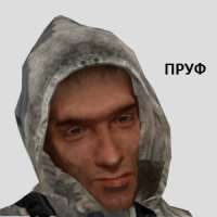 pruf.png