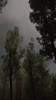 ветер.mp4