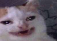 KXCZu2KQtf4.jpg