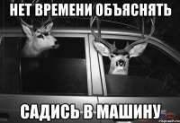 48254258orig.jpeg