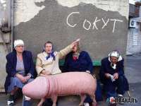 сокут.jpg