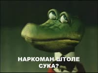 15783511462720.webm