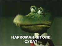 15783511462720.webm