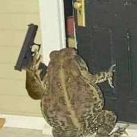 image.jpeg