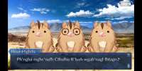 static-assets-upload8056500295126721058.jpg
