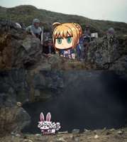 5443272.jpeg