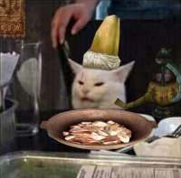 image.jpeg