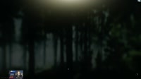 1492120591950.mp4