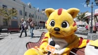 не верю и не жду.webm
