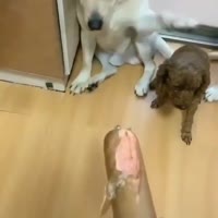 15822029426010.mp4