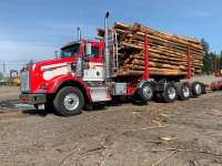 Logging-Trucks-Kenworth-T800-14436579[1].jpg