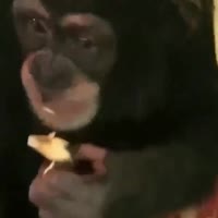 15819345184440.mp4