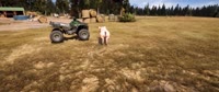 .mp4