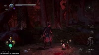 1573424392321.webm