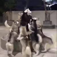 15834937195930.webm