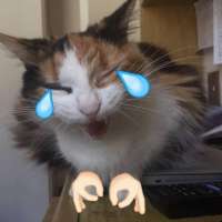 15836848945730.jpg